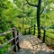 Magical view of a forest with wooden stairway through green trees