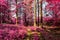 Magical view into an infrared forest shout with purple and pink leaves