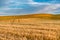 Magical wheat farm fields in palouse washington