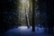 magical winter forest, a fairy tale, mystery.Winer background