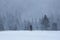 Magical winter forests. Photographer tourist stays on the lawn covered with snow. Snowy background. Nature scenery