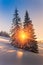 Magical winter landscape in mountains. View of snow-covered conifer trees and snowflakes at sunrise.