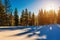 Magical winter panorama of coniferous forest