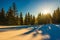 Magical winter panorama of coniferous forest