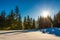 Magical winter panorama of coniferous forest