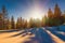 Magical winter panorama of coniferous forest