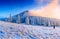 Magical winter snow covered tree. Carpathian, Ukraine, Europe