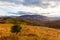 Magical yellow trees glowing in the sun. Wonderful unusual and beautiful scene. Tourist attraction. Location Carpathian