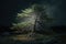 Maginficent Large Eastern Hemlock Tree Lightning Dark Clouds Sky by Generative AI