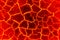 Magma Background, The red crack abstract for background