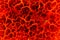 Magma Background, The red crack abstract for background.
