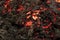 Magma textured molten rock surface. Lava flame on black ash background