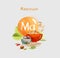 Magnesium in food. Natural organic foods high in magnesium.