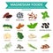 Magnesium foods, healthy food vector illustration