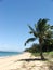 Magnetic Island