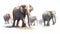 A Magnificent African Elephants Group in on White Background