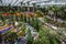 The magnificent atrium at the Gardens by the Bay in Singapore.