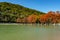 The magnificent autumn red and orange needles of the group of cypresses Taxodium distichum on the lake in Sukko