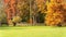 Magnificent autumnal landscape in a park nicely planted with multiple varieties, and its romantic bridge