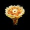 Magnificent bouquet made from different varieties of cheese as a gift isolated on a black background