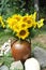 Magnificent bouquet of vivid sunflowers in antique clay pot outdoors near a rock on green grass. Clay flowerpot with sunflowers