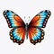 Magnificent Butterfly Collection Nature\\\'s Symphony