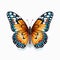 Magnificent Butterfly Collection Nature\\\'s Symphony