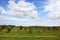 Magnificent cumulus clouds in the sky