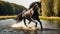 magnificent dark horse runs river in nature
