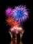 Magnificent fireworks display