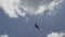 Magnificent frigatebird, Fregata magnificens, a big black sea bird with a characteristic red gular sac.