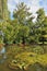 Magnificent fur-trees at a silent pond