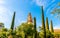 Magnificent garden of the cathedral mosque of Cordoba from where merge its tower.