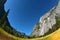 Magnificent glade in valley Yosemite park