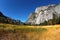 Magnificent glade in Yosemite park.
