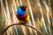 A magnificent Gouldian finch with its striking red, green, and blue colors perched on a slender reed