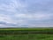 Magnificent, green  endless crop fields and forests of Slavonija region in Croatia