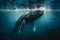 Magnificent humpback whale underwater