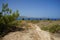 Magnificent landscape with a look at the Mediterranean Sea with Kolymbia Flag Hill, Kolympia, Rhodes, Greece