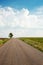 Magnificent, landscape. The road rushes into the distance. Lonely little tree on the roadside. Vertical photo