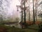 Magnificent landscape under the fog of a stone path leading to a peninsula, dotted with huge bare trees