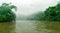 magnificent misty amazon river with mist and green forested area in high resolution