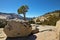 A magnificent mountain panorama  Yosemite