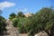Magnificent mountainous landscape, classic buildings and exotic vegetation in L-Ahrax, Mellieha, Malta.