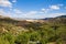 Magnificent panorama of surrounding olive groves