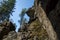 Magnificent panoramic view of the forest and beautiful blue sky.