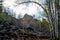 Magnificent panoramic view of the forest and beautiful blue sky.