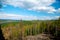 Magnificent panoramic view of the forest and beautiful blue sky.