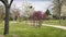 Magnificent park planted with fruit trees, at the beginning of spring