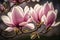 Magnificent Pink Magnolia Blooms Magnolia Soulangeana Trees Blossom in Spring. Generative AI